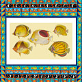 Vintage fish in decorative frame